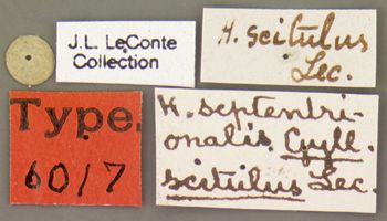 Media type: image;   Entomology 6017 Aspect: labels